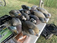 TABLE OF MIX DUCK DECOYS