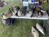 TABLE FULL OF MIX DUCK DECOYS