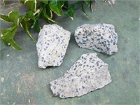 DALMATION JASPER ROCK STONE LAPIDARY SPECIMEN