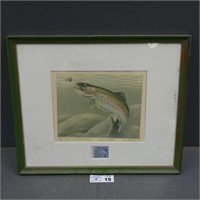 1978 Signed Louis Frisino Rainbow Trout Picture