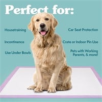 Premium Dog Pads- Simple Solution 6-Layer All Day