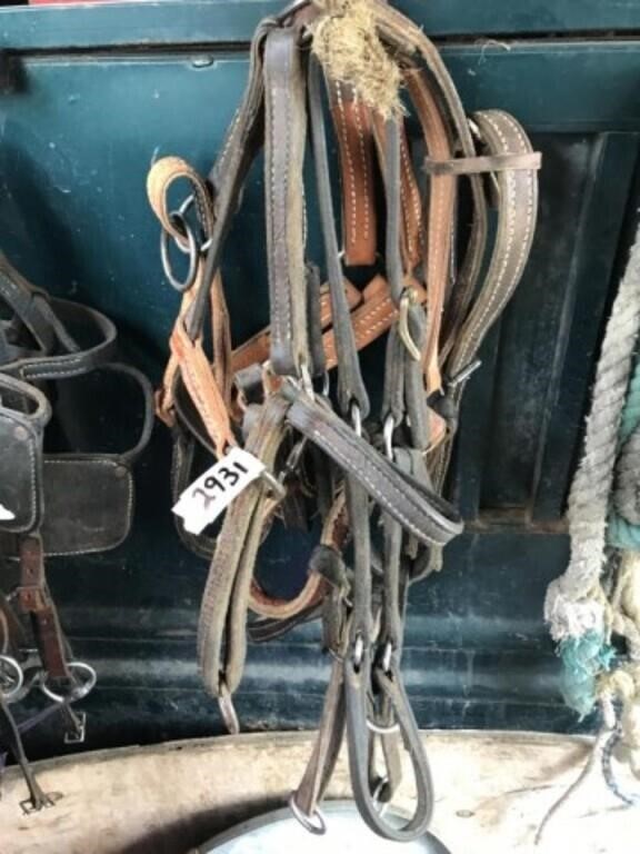 4 - Leather Halters