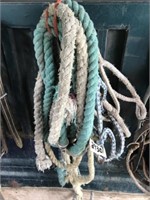 2 - Rope Halters c/w Lead Shanks
