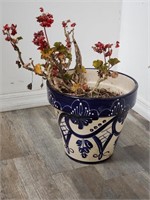 Live plant in hand-painted glazed terracotta