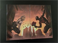 Miles & Gwen Connecting covers-Parrillo lot/5