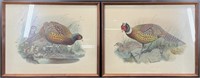 2 Antique J. Wolf & J. Smit Pheasants Lithographs