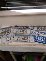 Group of 12 Montana license plates