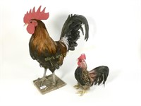 Lot of Two Roosters, 10 and 21 Inches Tall