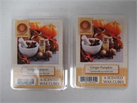 (2) 6-Pks Ambi-Escents Ginger Pumpkin Wax Melts