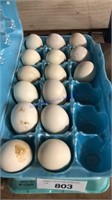 15 Fertile Silkie / Frizzle Eggs