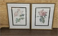 Pair of Framed Rose Prints by The Bombay Company,
