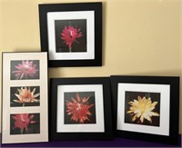 Framed Floral Photo Prints
