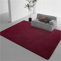 DweIke Large Area Rugs for Bedroom Living Room, 6x