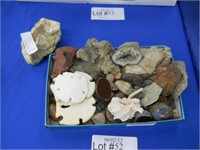 LOT OF GEODESIC SPECIMENS & SEA COLLECTIBLES