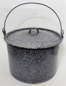 Speckled Enamel Stock Pot with Lid
