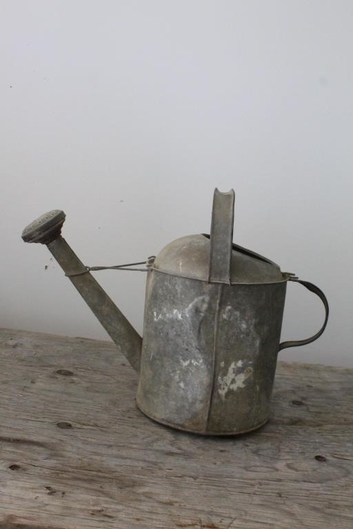 Vintage galvanized watering can, 14"