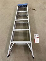 5ft Alum Ex Ladder