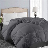 EASELAND All Season Queen Size Soft Quilted Down A