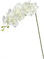 9-Head White Orchids x2