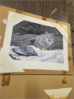 Vintage Signed Lynx ' Sheltwred Spot'Print, by