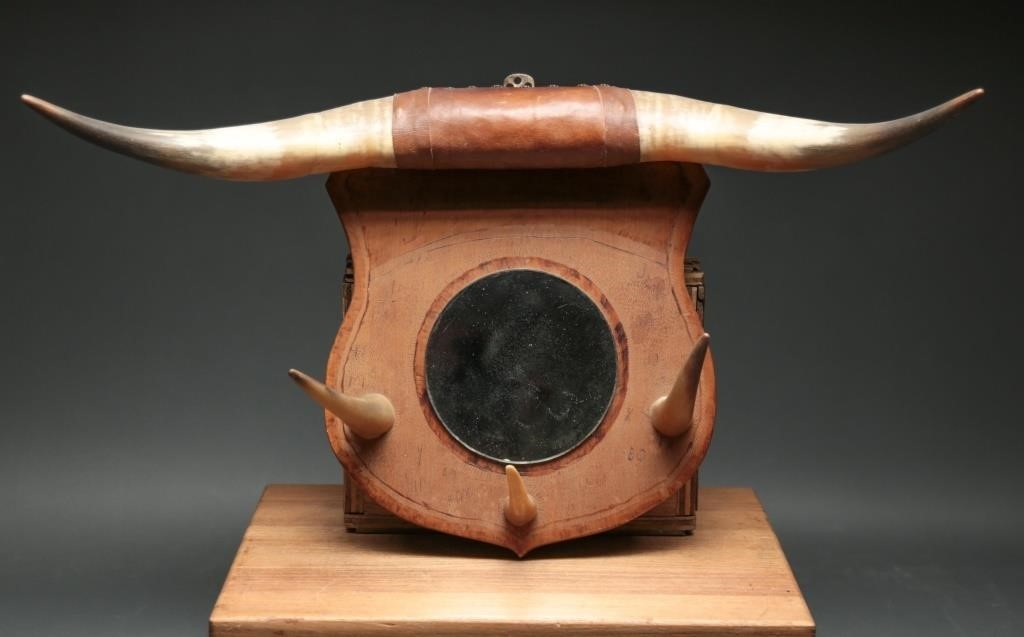 Taxidermy Steer Horn Mount Hat Rack