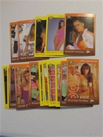 LOT 0F 18 1993 STAR CARD HOOTERS CALENDAR GIRLS