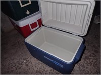 Coleman Poly Cooler