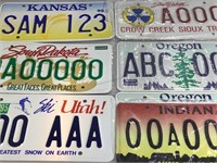 SAMPLE Metal License Plates