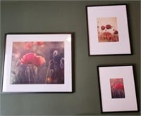 Trio of Poppy Photo Prints