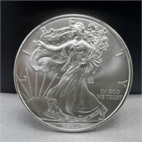 2009 American Silver Eagle