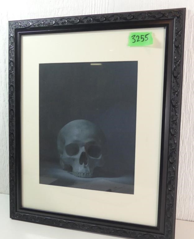 Framed art Photo 13" x 16"