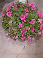 Flowers Large Hanging Basket