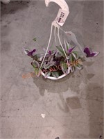 Small Hanging Basket