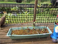 Green Rectangle Plastic Planter (deck)
