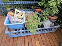 Planters and More (Deck