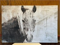 Grey White Horse Canvas 3ftx2ft