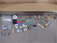 Various Pins/Jewelry Lot