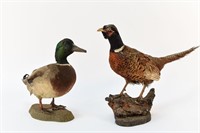 PHEASANT AND DUCK TAXIDERMY BIRDS
