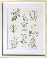17x21InPROCIDA Botanical Print Floral Wall Art