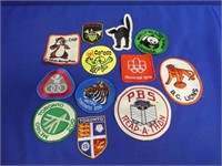 Lot Of Patch Badges