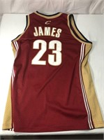 Lebron James Nike Basketball Jersey