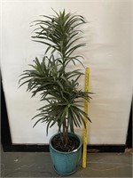 Artificlal 4 Ft. Yucca Tree in Turquoise Planter