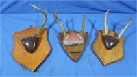 3 Whitetail Antler Mounts (1 broken)