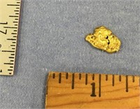 Alaskan gold nugget approximately 4.3 grams, about