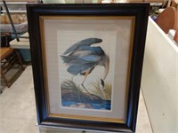 John James Audubon "Great Blue Heron"