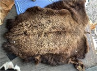 Large bison hide