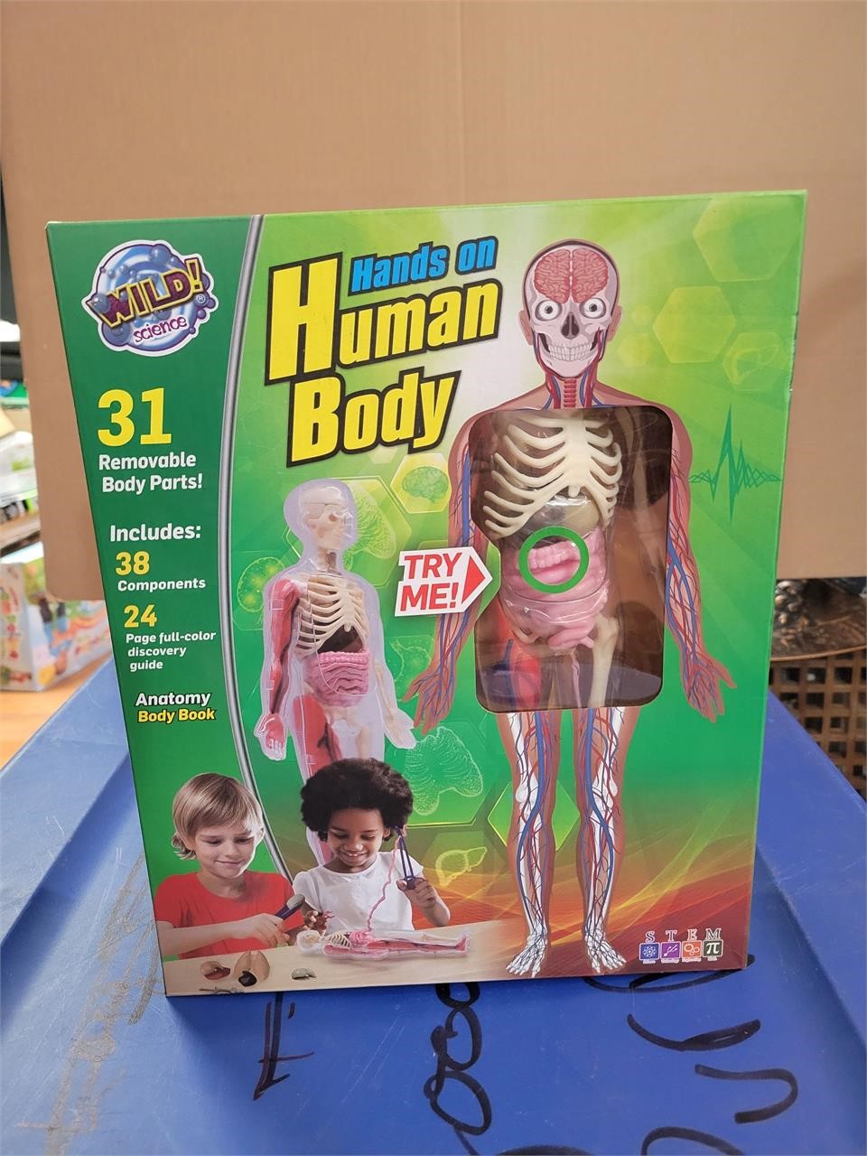 Wild Science Hands on Human Body