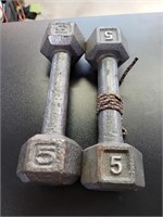 5lb hand weights