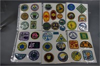 (41) Girl Scout Echo Action Council Patches