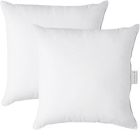 Pillow Inserts - Set of 2, White, 24 x 24